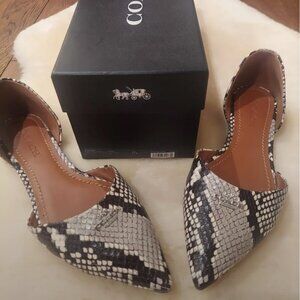 Coach snakeskin flats